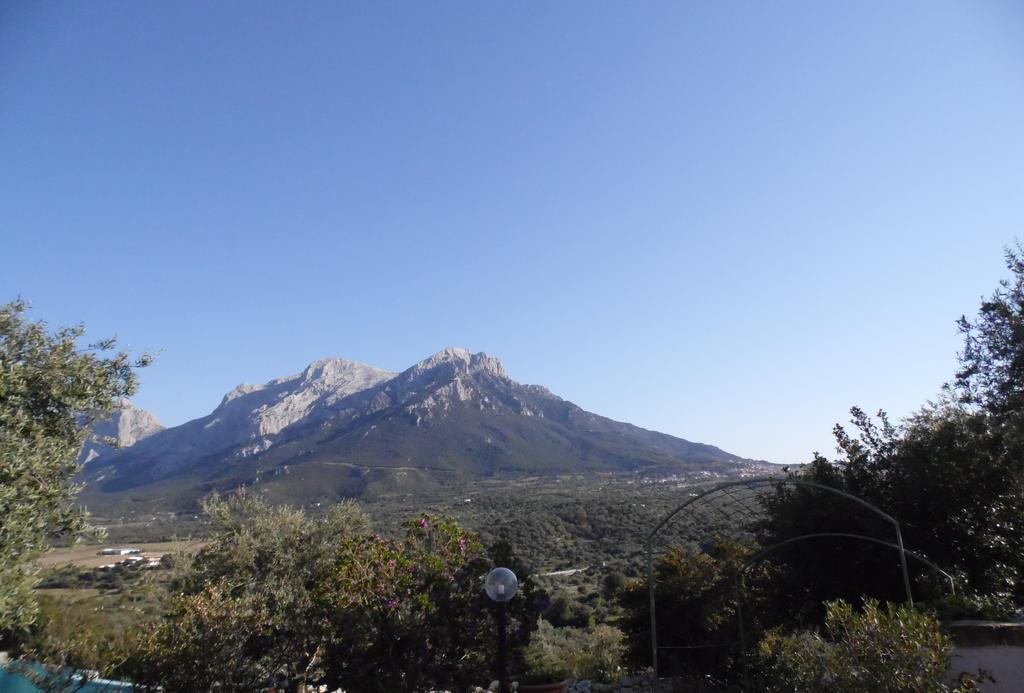 Villa L'Oleandro Oliena Bagian luar foto