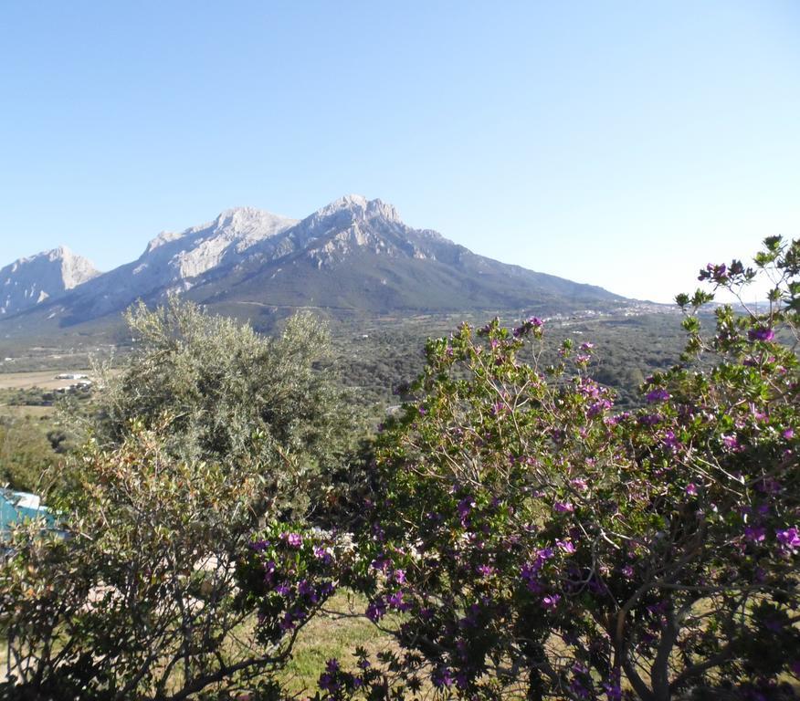 Villa L'Oleandro Oliena Bagian luar foto