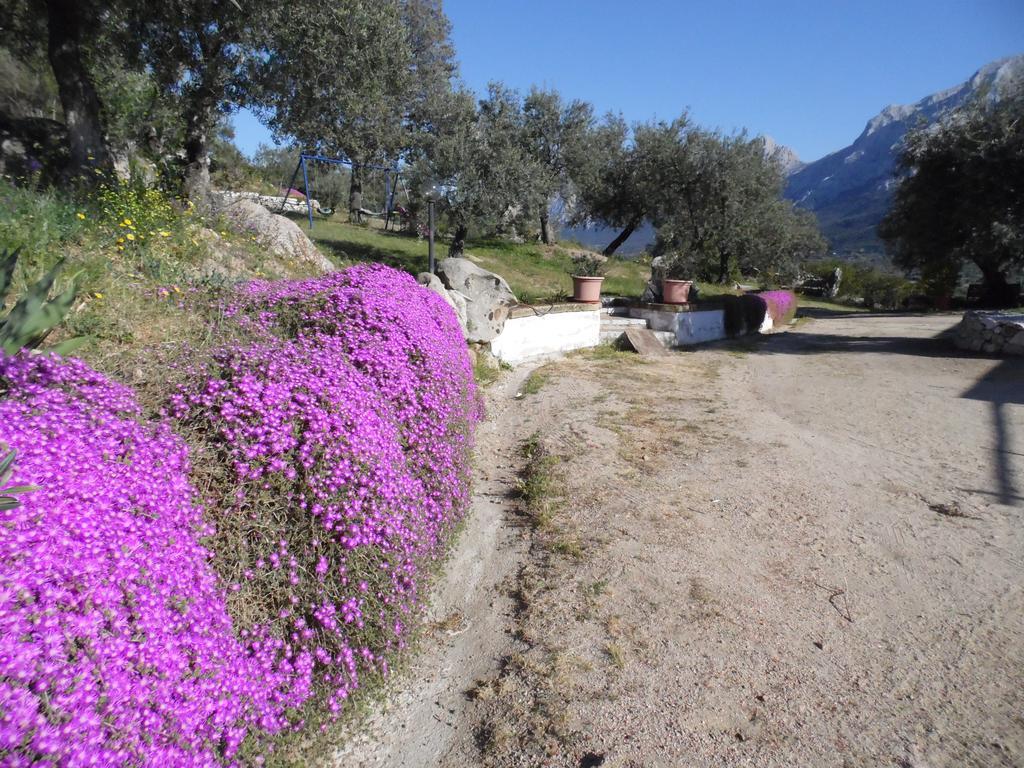 Villa L'Oleandro Oliena Bagian luar foto