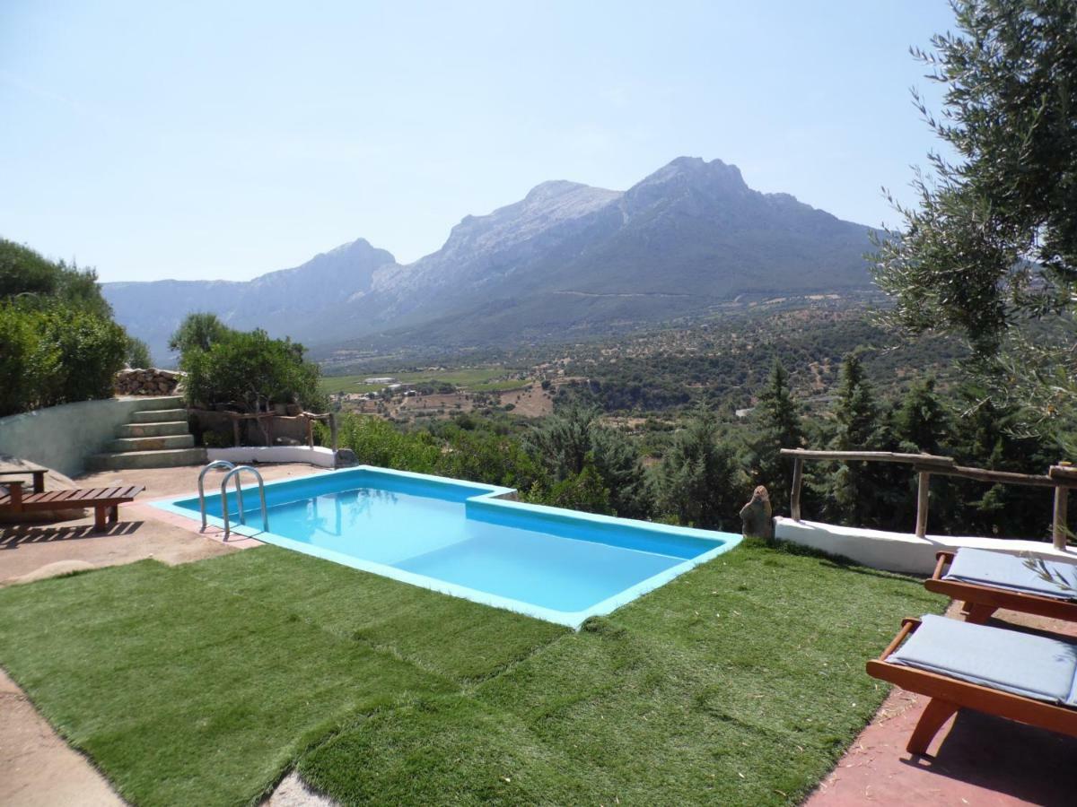 Villa L'Oleandro Oliena Bagian luar foto