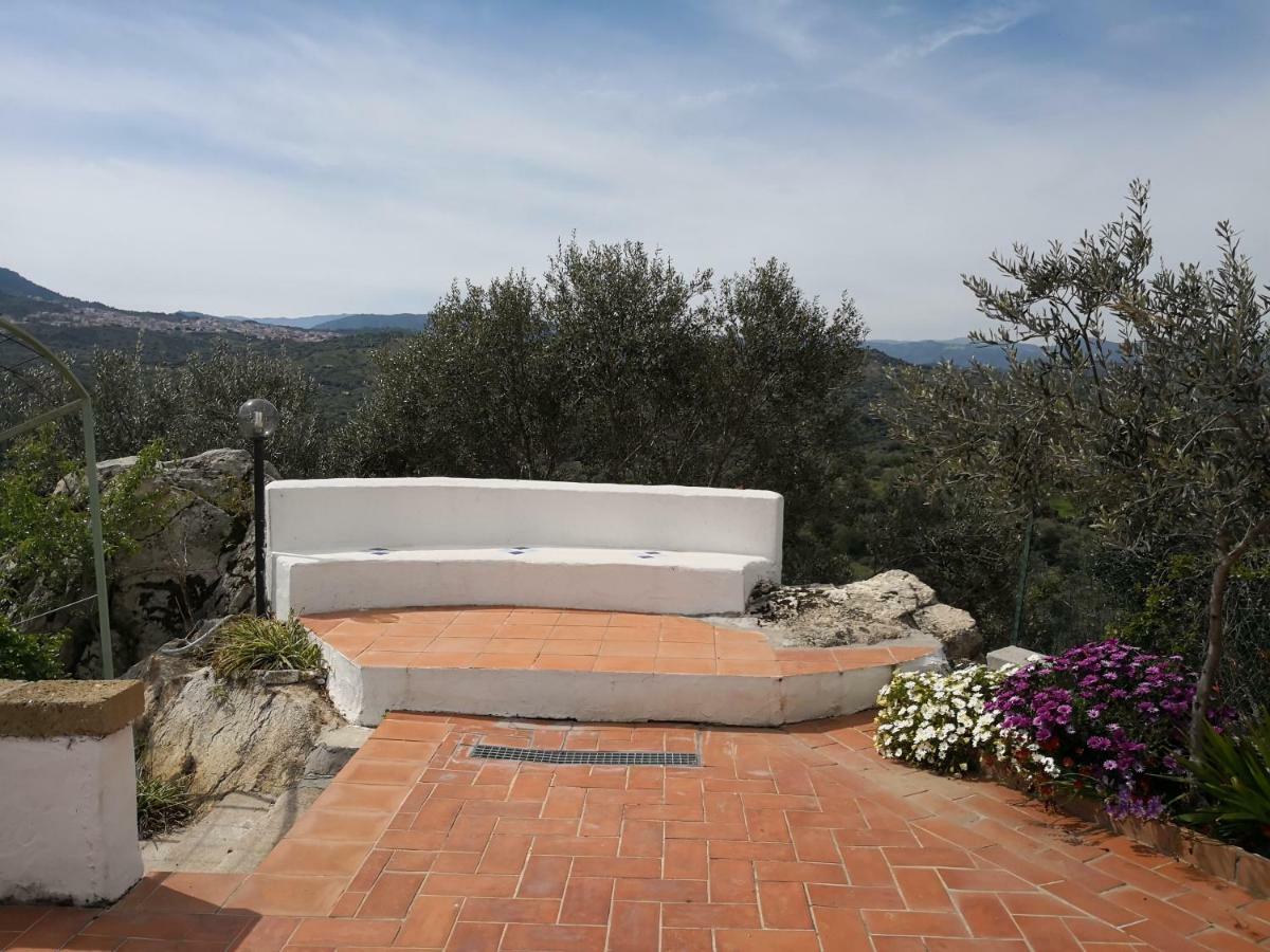 Villa L'Oleandro Oliena Bagian luar foto