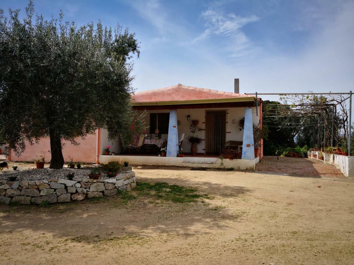 Villa L'Oleandro Oliena Bagian luar foto