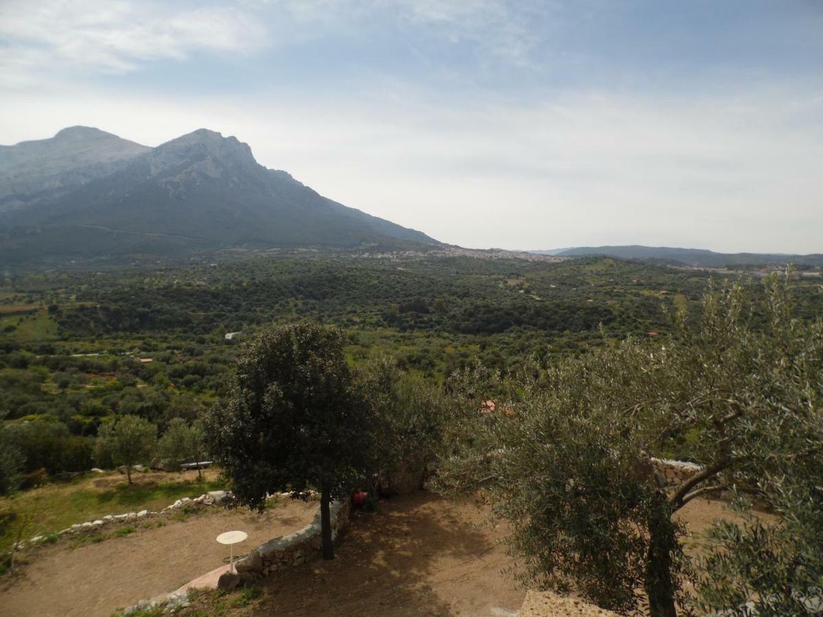 Villa L'Oleandro Oliena Bagian luar foto