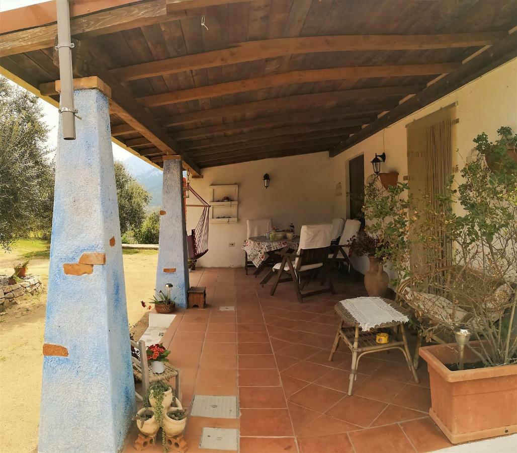 Villa L'Oleandro Oliena Bagian luar foto