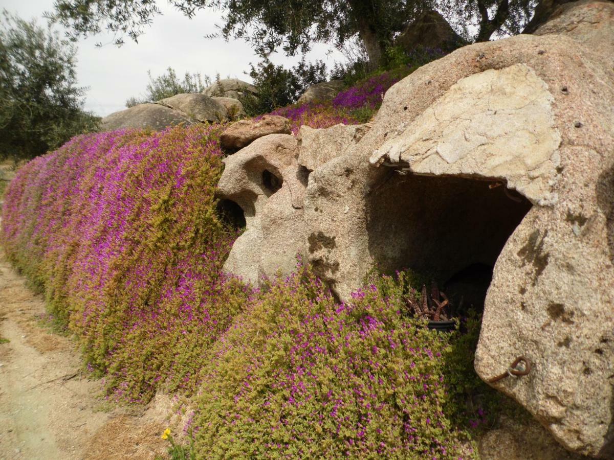 Villa L'Oleandro Oliena Bagian luar foto