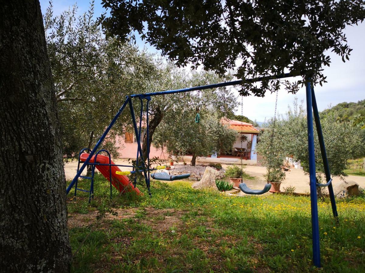Villa L'Oleandro Oliena Bagian luar foto