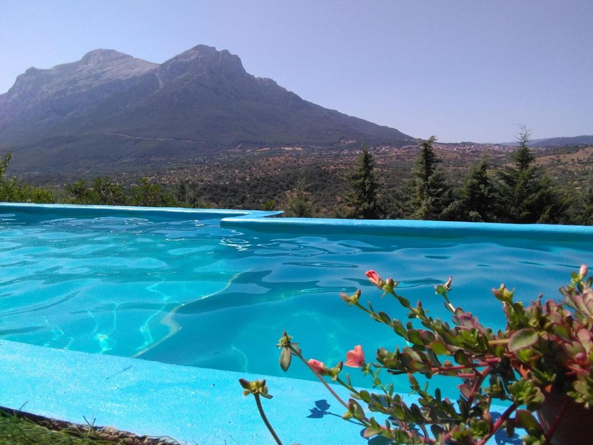 Villa L'Oleandro Oliena Bagian luar foto